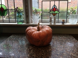 pumpkin in kitchen