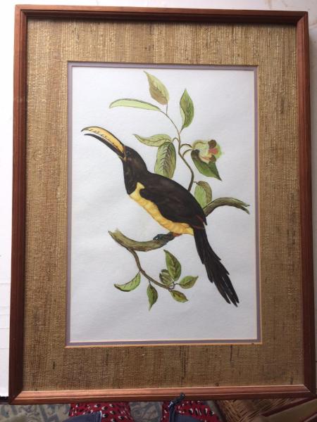 Old Bird Paintings 4.jpg